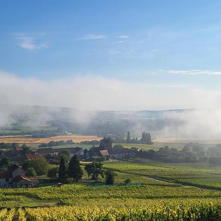 Le Coq De Champagne Villa Dormans Eksteriør bilde
