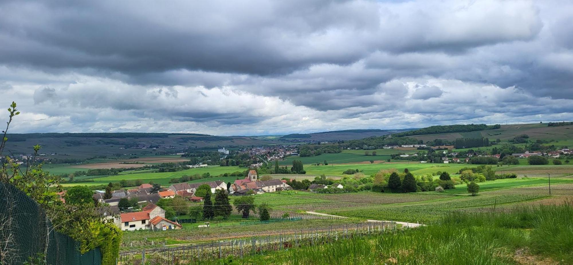 Le Coq De Champagne Villa Dormans Eksteriør bilde